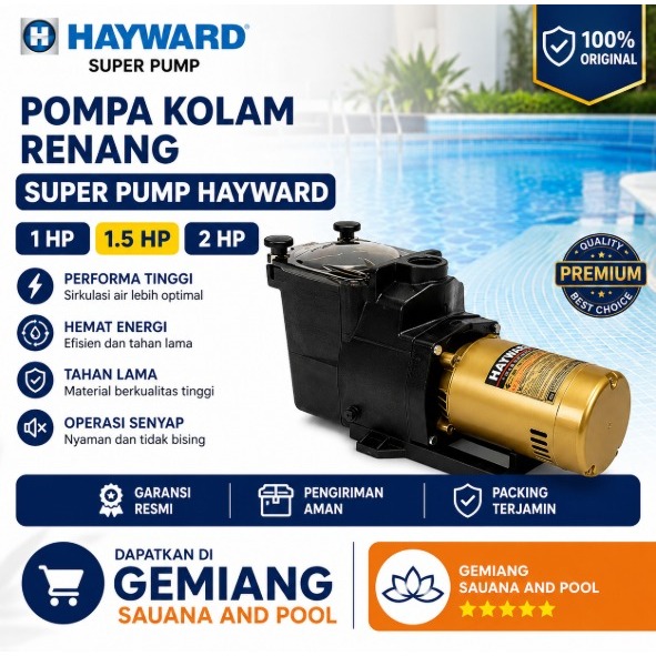 Pompa 2 Hp Super Pump Hayward Original USA POMPA HAYWARD SUPER PUM 2 HP ORIGINAL USA