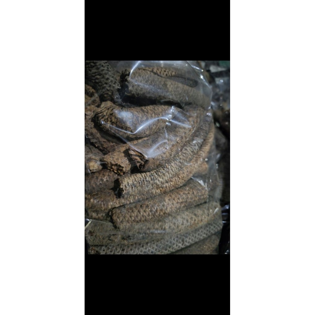 Kayu Lanang || Kayu Wolo 1kg