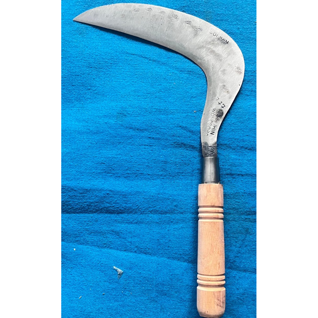 Arit rumput baja isen selap asli wonosobo