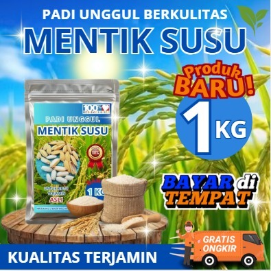 Benih padi mentik wangi susu, mentik susu kemasan 1kg original