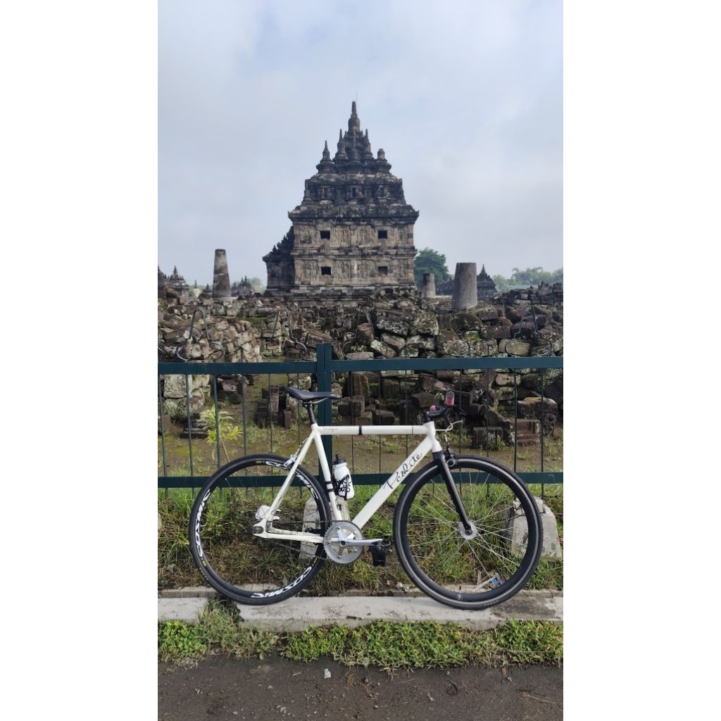 frame only fixie PCO Lite gen 1 size 54