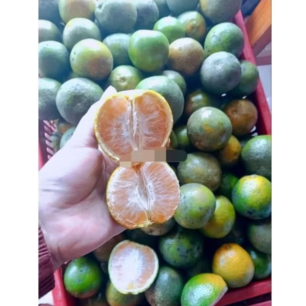 JERUK SEMBORO 2KG DAN NANAS MADU 1 BIJI