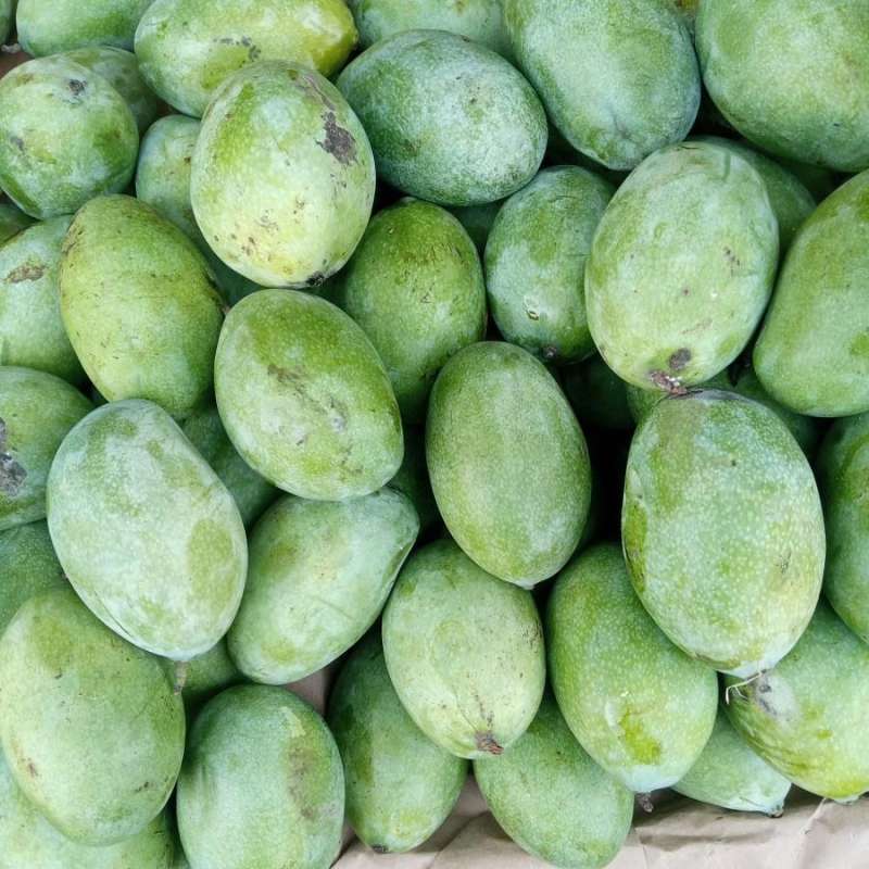 [Pengiriman Buah Instan Probolinggo] Mangga Manalagi Khas Probolinggo Mentah