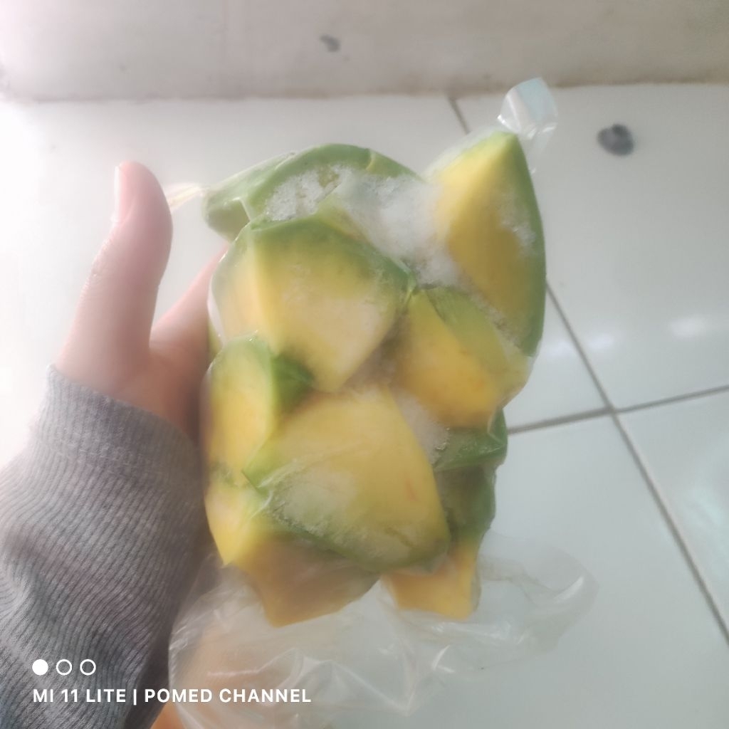 BUAH ALPUKAT FROZEN 500 gr