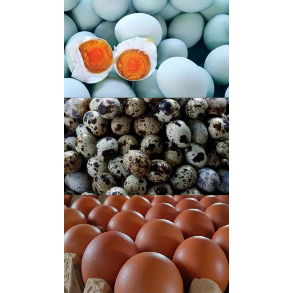 jual telur ayam, telur asin, telur puyuh murah ( INSTAN )