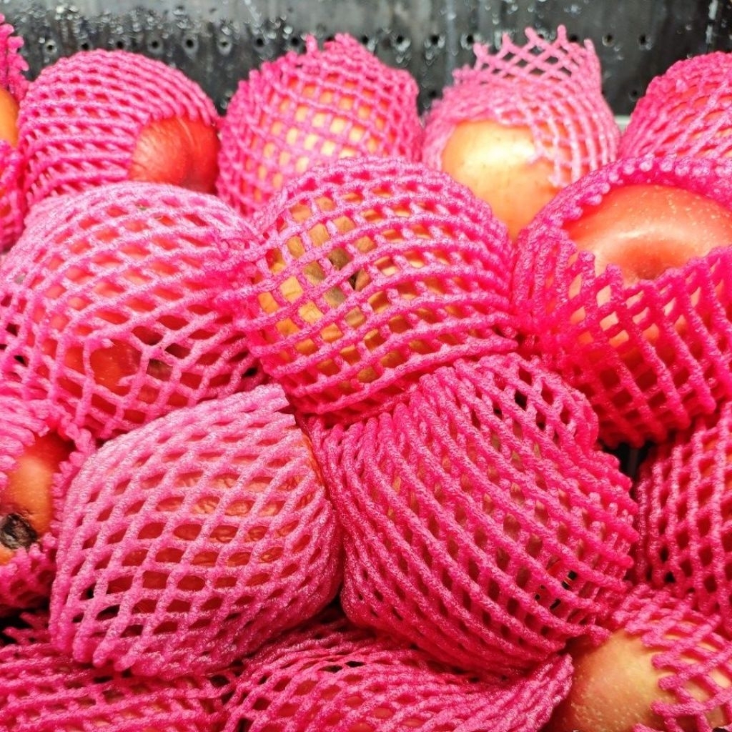 Apel Fuji Segar 1kg