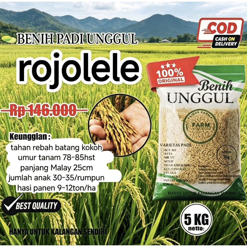 Benih bibit padi rojolele kemasan 5kg.