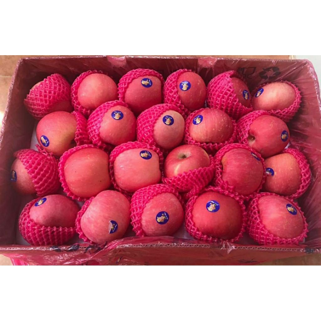 apel fuji buah apel
