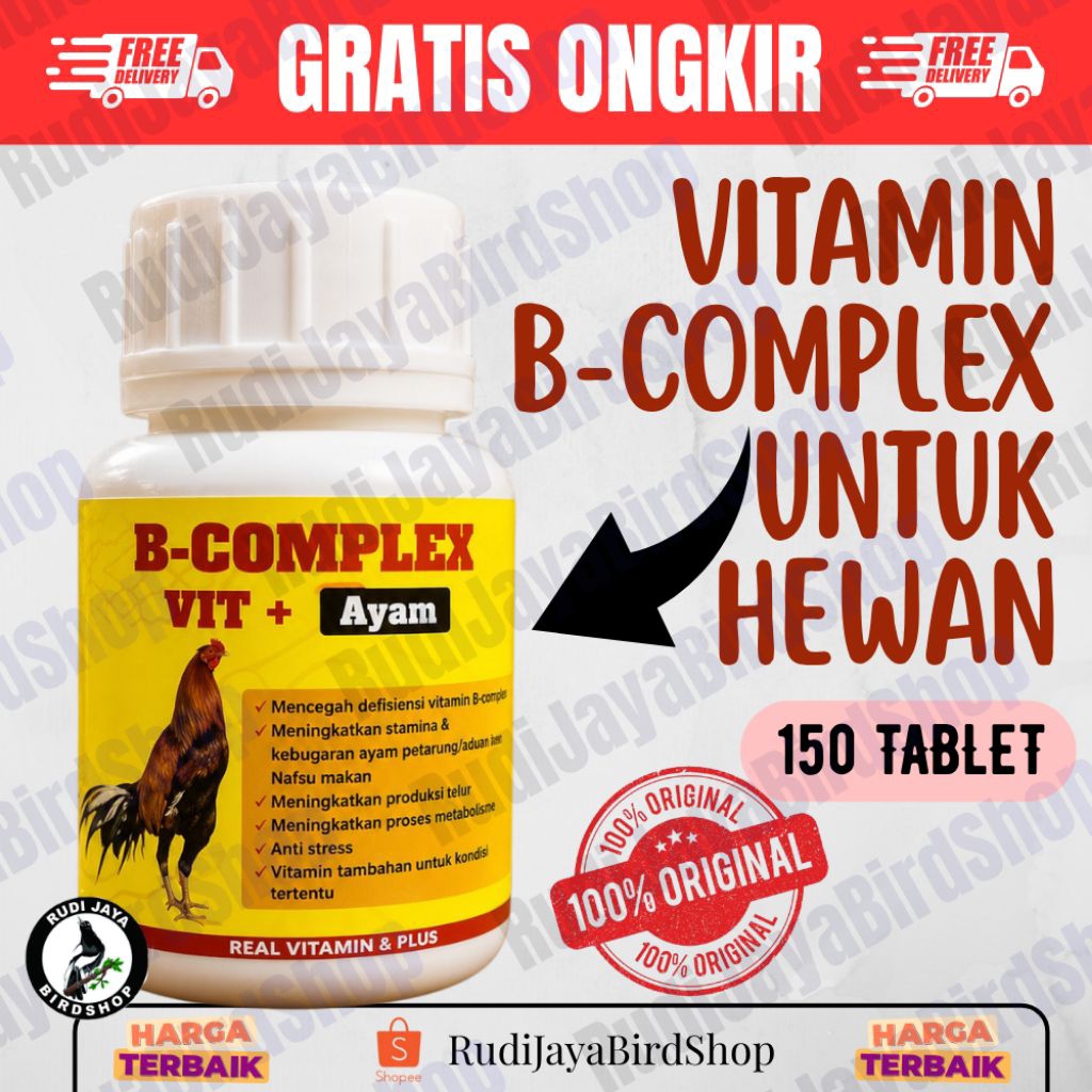 B COMPLEX VIT+ AYAM ADUAN VITAMIN B12 VITAMIN BURUNG MERPATI AYAM MENAMBAH STAMINA PERCEPAT RECOVERY