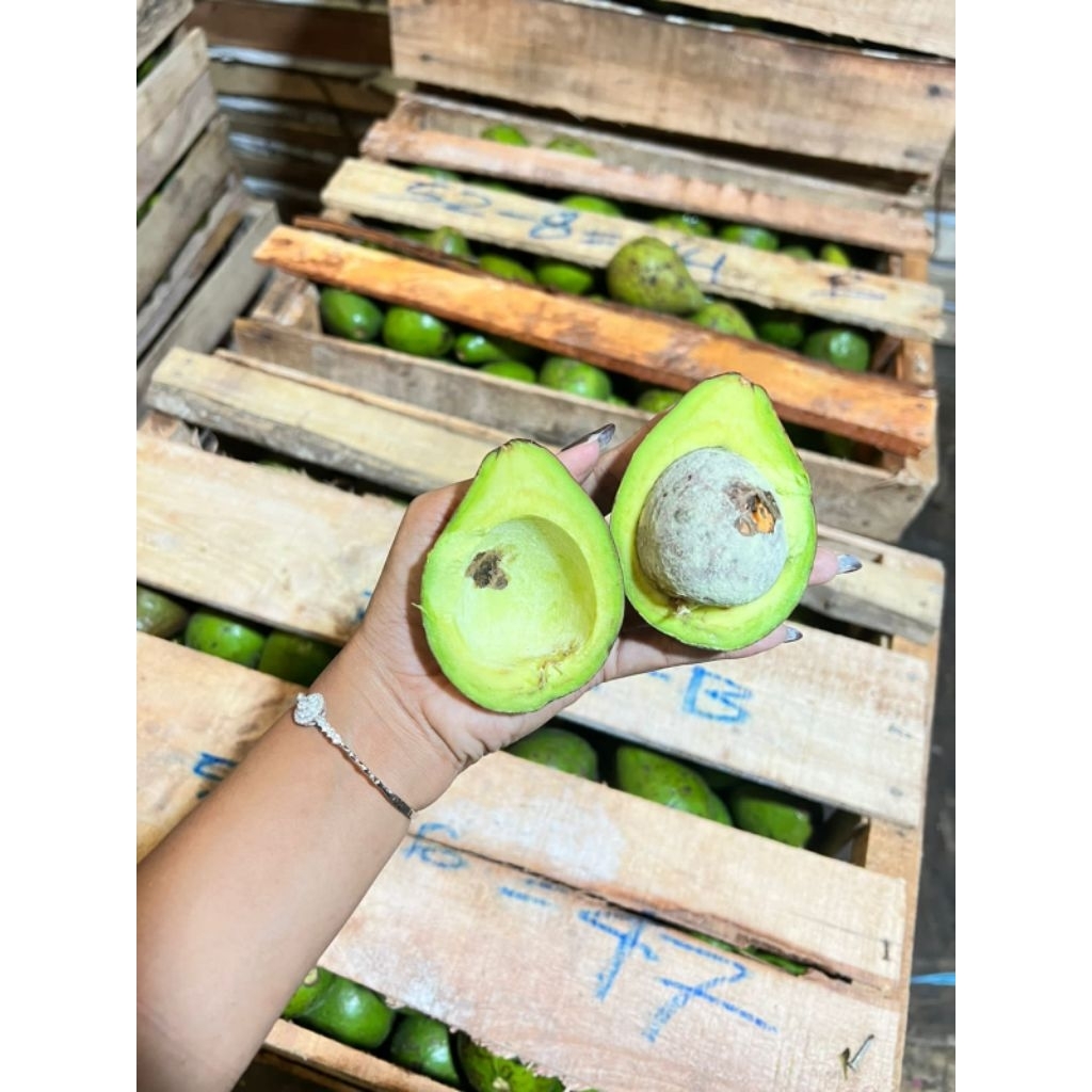 ( BUAH INSTAN BOJONEGORO ) Alpukat Medan 2kg