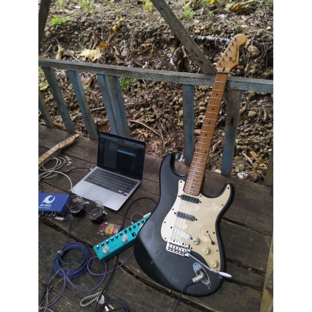 Gitar elektrik FENDER STRATOCASTER costum