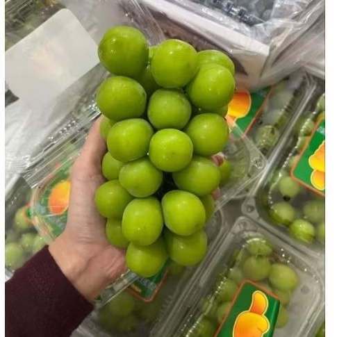 Buah Anggur Shine Muscat box ((PO))
