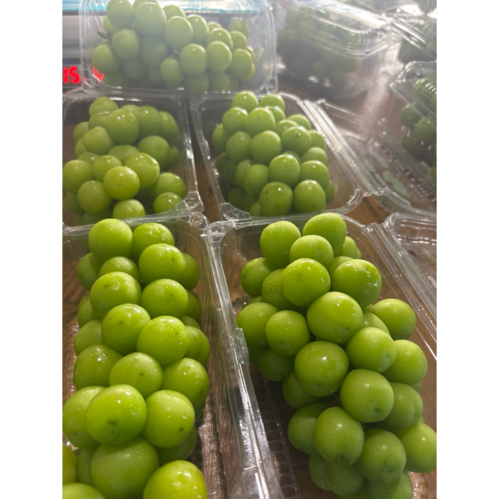 Anggur hijau muscat