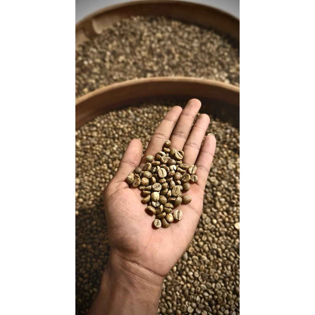 GREENBEAND BIJI KOPI ROBUSTA PALEMBANG 1kg