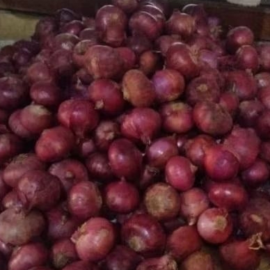 Bawang Merah india