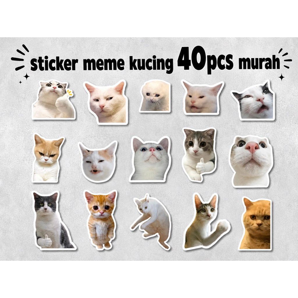 Stiker Kucing Meme Lucu Cat Waterproof Vinyl