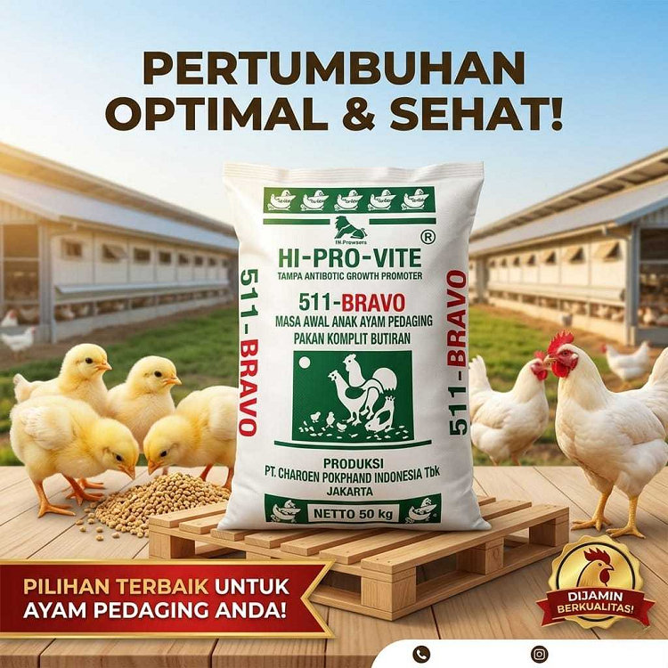 Kemasan 1Kg Pur Ayam 511 Voer Pakan Ayam Hi Pro Vite 511 Charoen Pokphand