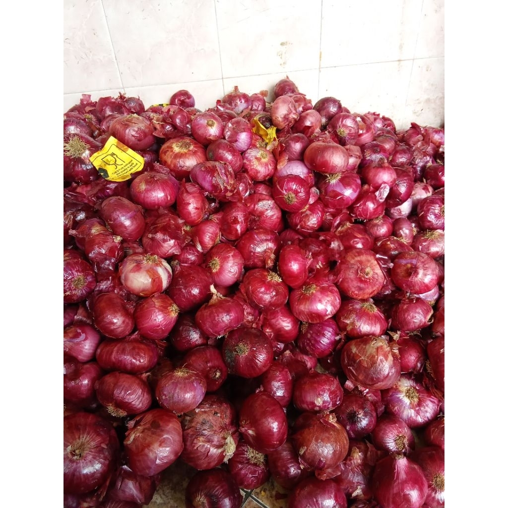 bawang merah besar 1kg