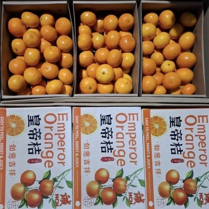 Jeruk Wokam Mandarin Emperor Tanpa biji / jeruk wokam emperor tanpa biji / kg