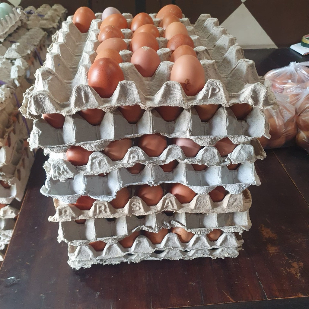 Telur ayam kampung 1 kg