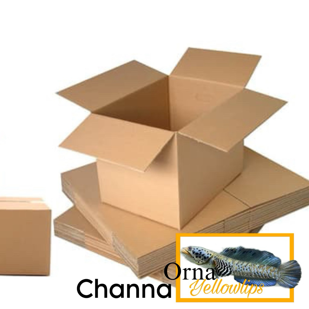 Packing Box Orna YL Yellow Lips
