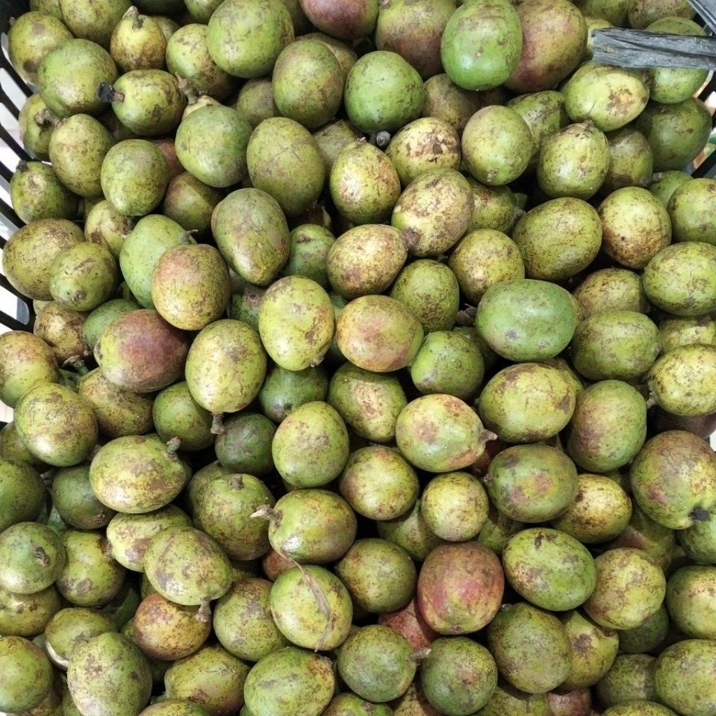 matoa hijau manis dan fresh 1kg