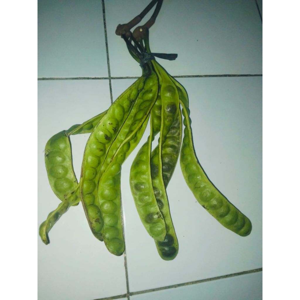 pete super tua