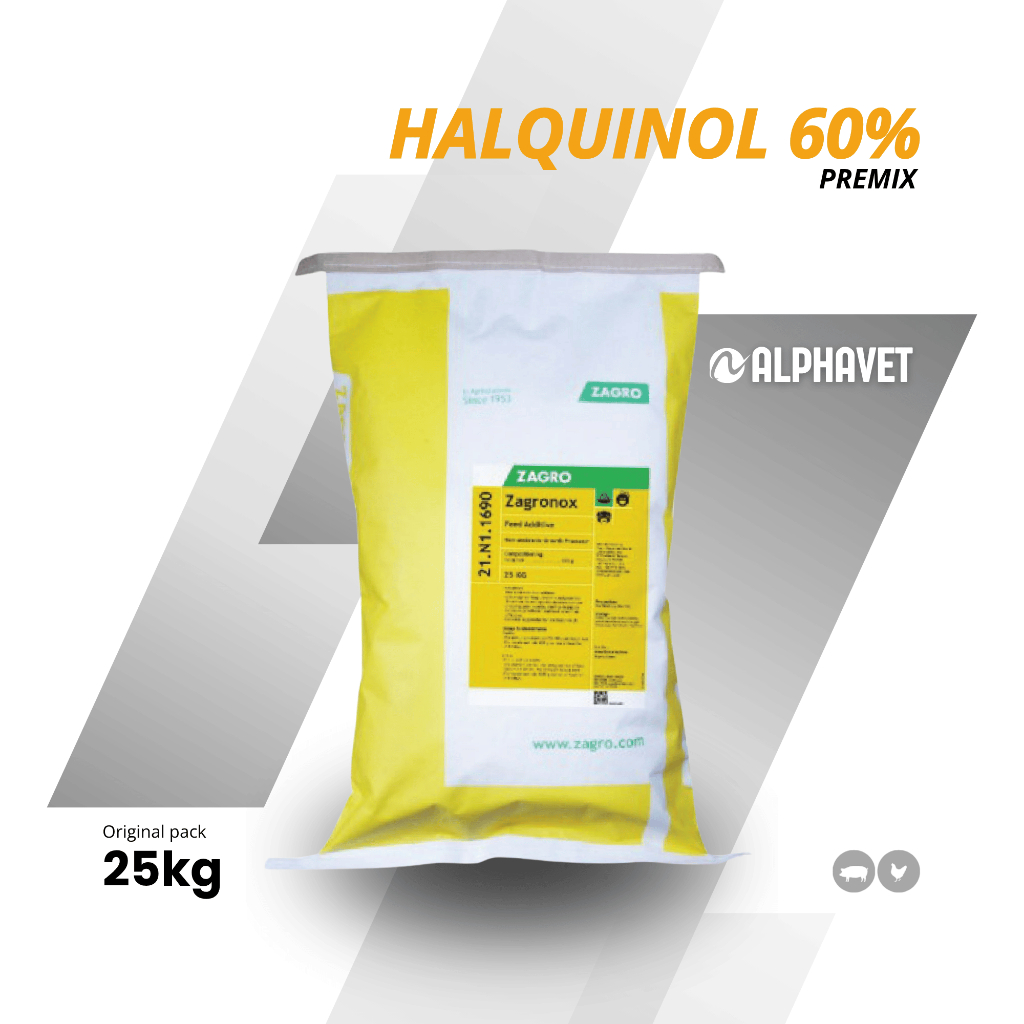 Halquinol 60% 25kg Anti Mikroba Non Antibiotik Hewan Ternak Unggas & Babi