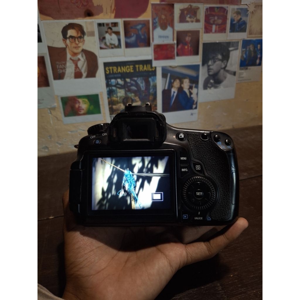 canon 60d