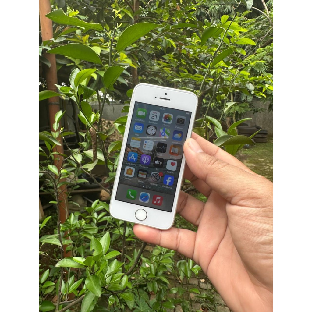 iPhone SE 1st Gen 64GB 2016 Silver