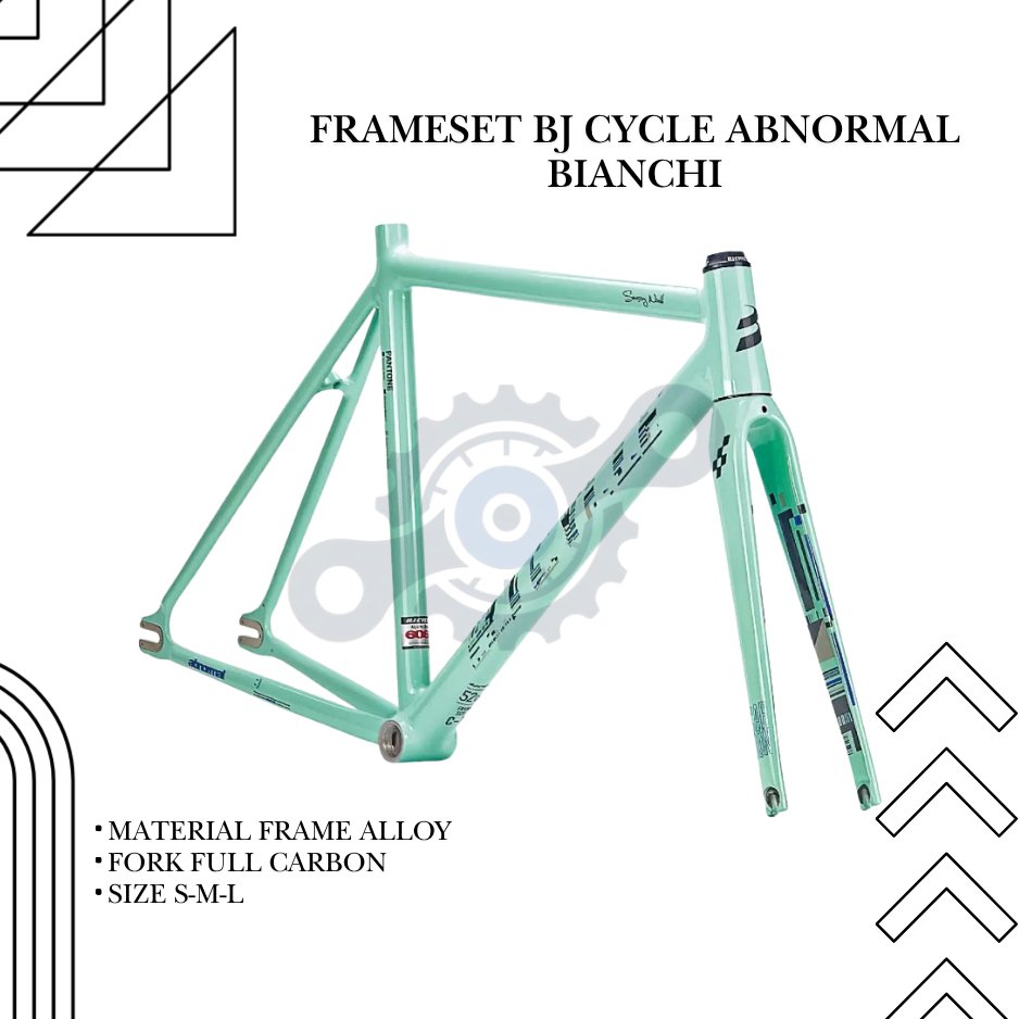 Frame Bj Cycle Abnormal-BianchiFixie Single Speed