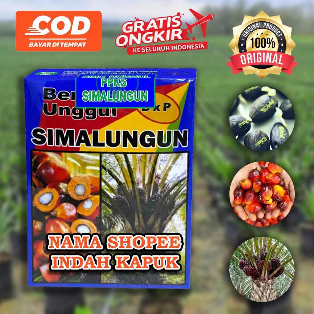 PPKS DXP SIMALUNGUN SUPER UNGGUL BERSERTIFIKAT