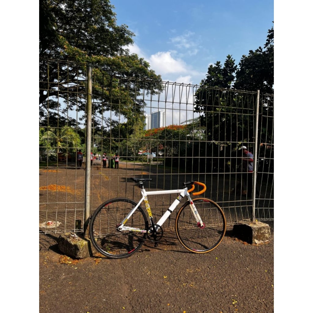 frame folker fixie