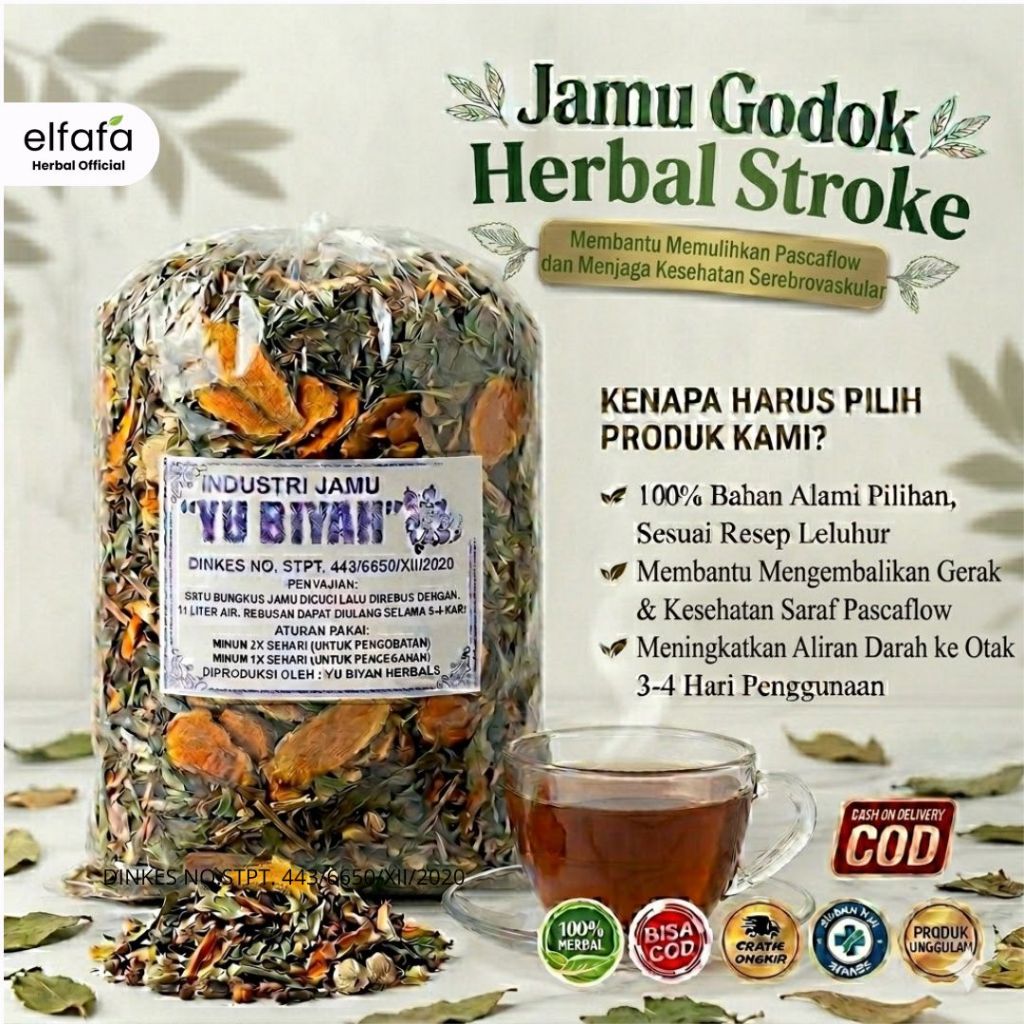 Jamu Herbal Stroke Ringan, Obat Lumpuh Strok Herbal Alami