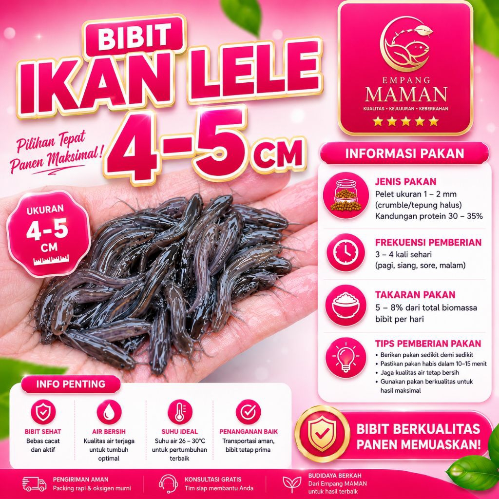 KHUSUS INSTANT SAME-DAY BIBIT LELE 4-5 CM Hiasan Kolam