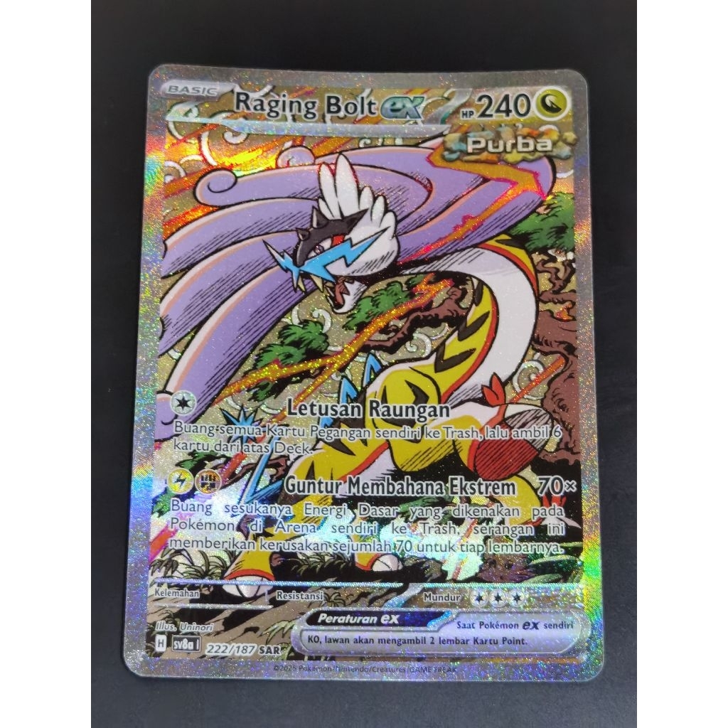 Raging Bolt Ex 222/187 SAR ID