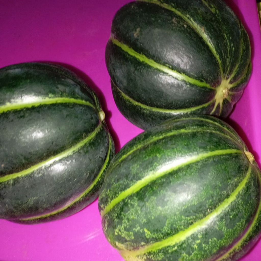BUAH BELEWAH BALEWAH BLEWAH manis segar