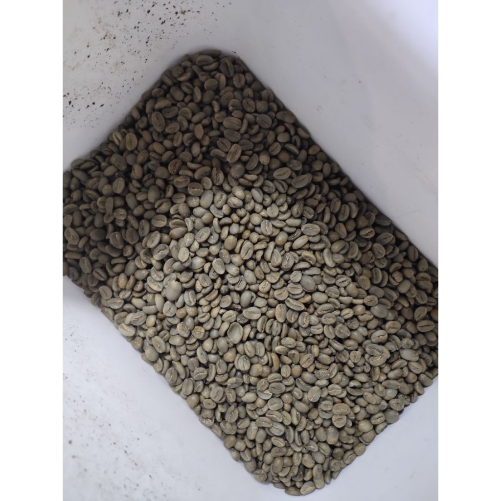 ArabicaSemeruRoastbean100%