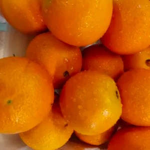 Jeruk mandarin 1kg
