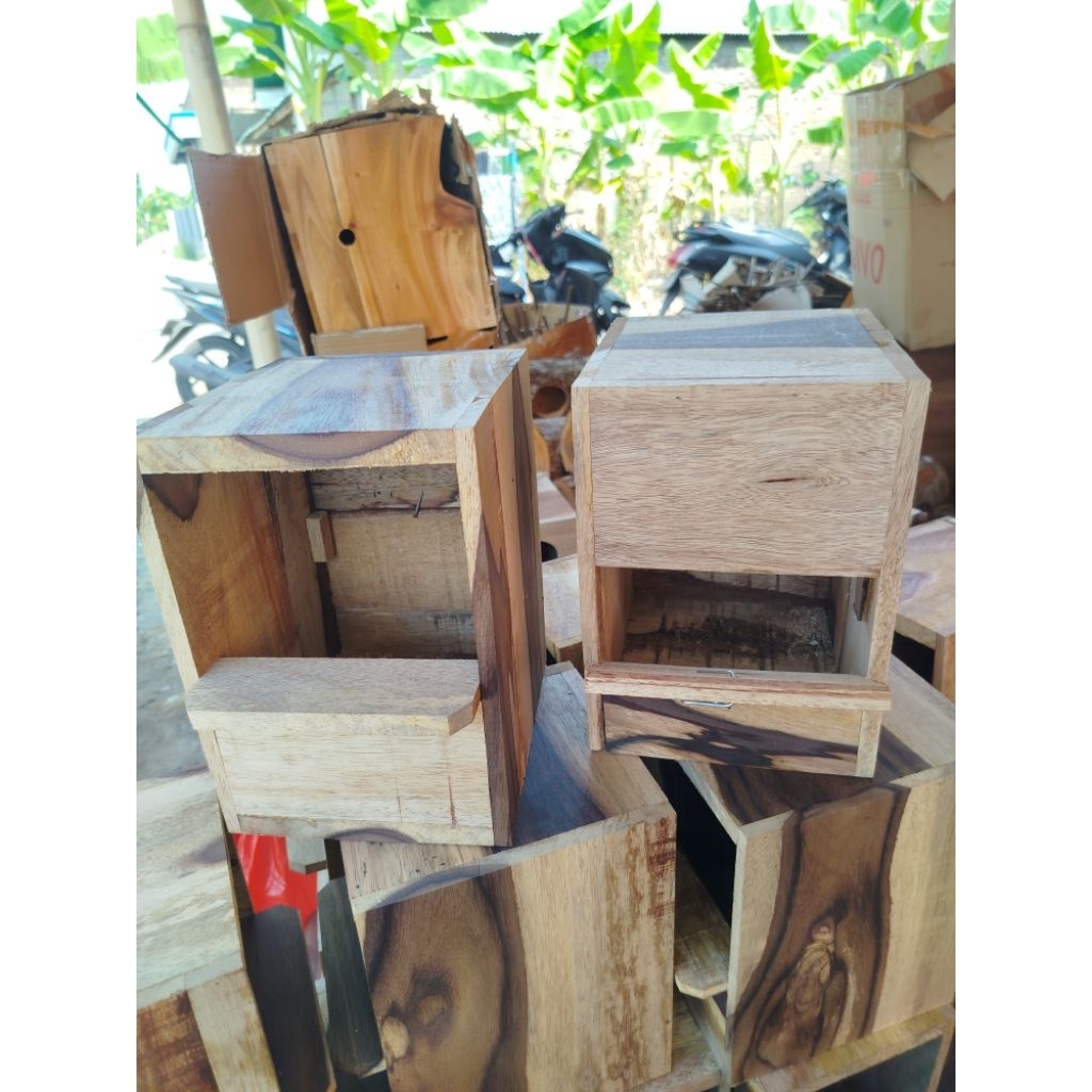 Glodok Ternak Murai Batu Glodok Jalak Kacer Bonus Sarang