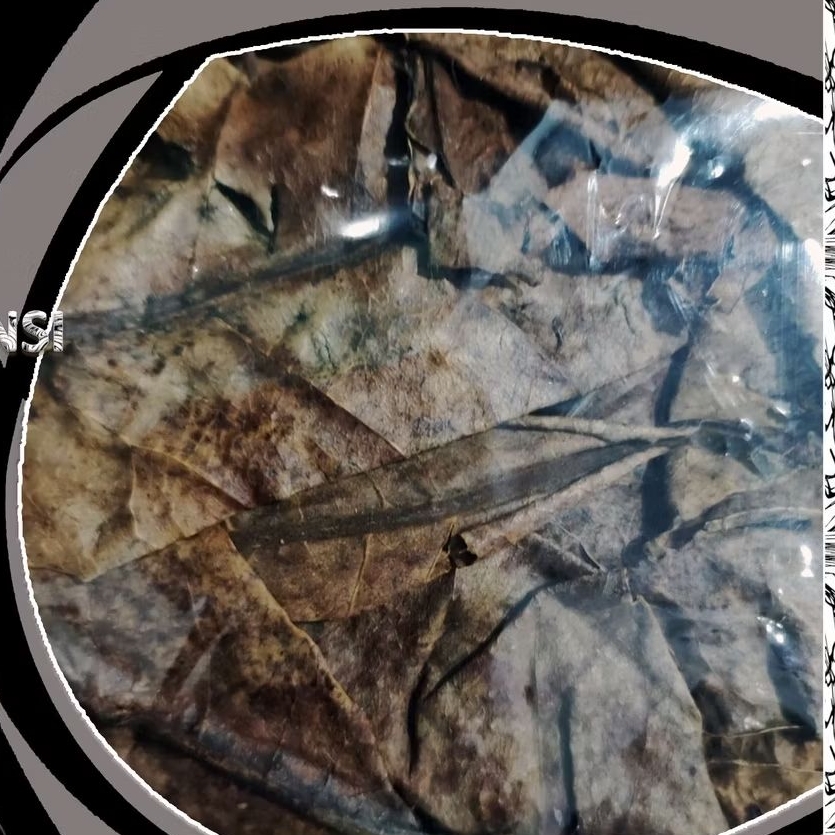 DAUN KETAPANG LAUT KERING OLAHAN SUPER GOOD QUALITY 1KG