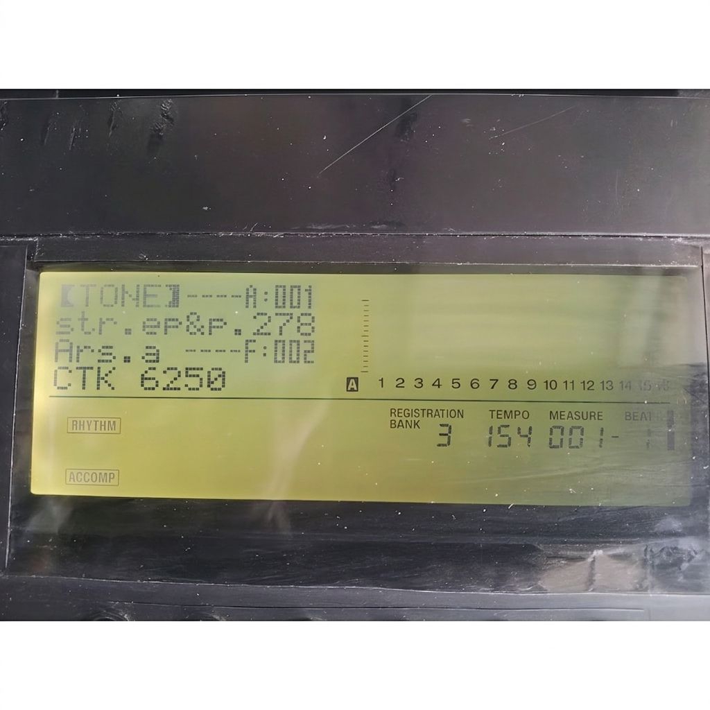 Layar LCD Keyboard Casio CTK 6250