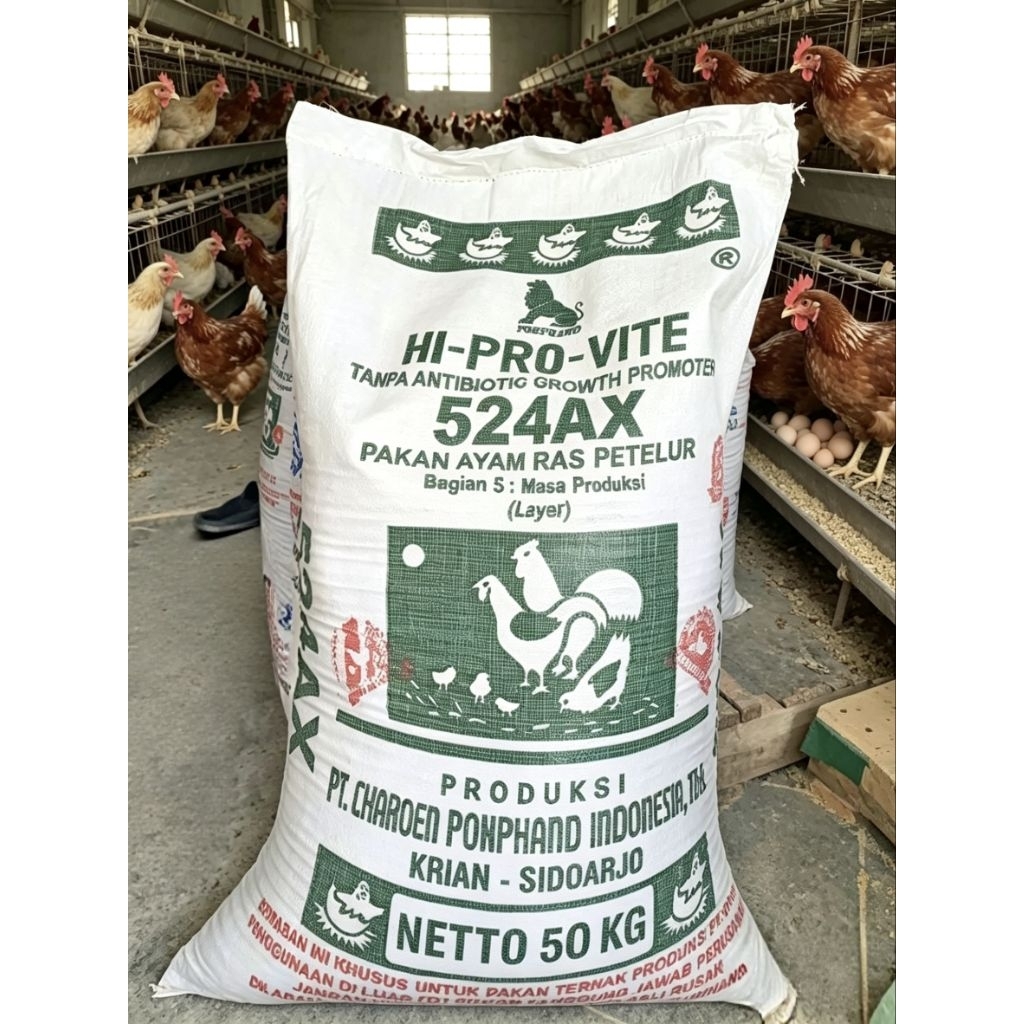 Pakan ayam petelur produksi 524AX (Pur ayam petelur)