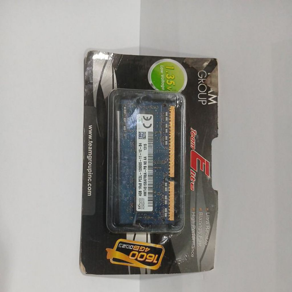 Ram Skhynix
