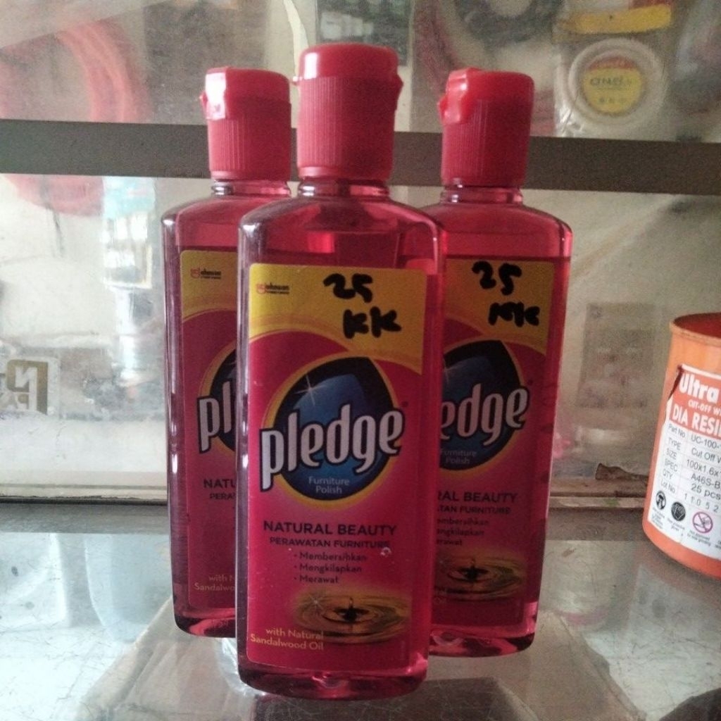 pledge