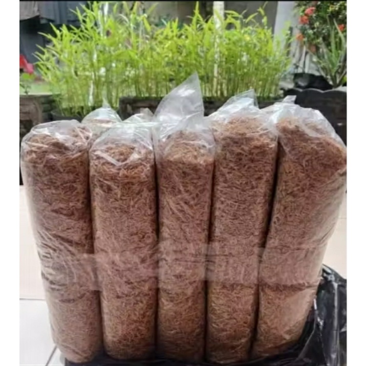 SEKAM PADI PREMIYUM SEKAM MENTAH
