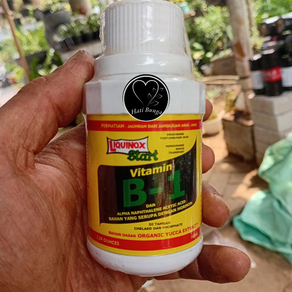 vitamin B1/vitamin tanaman B1