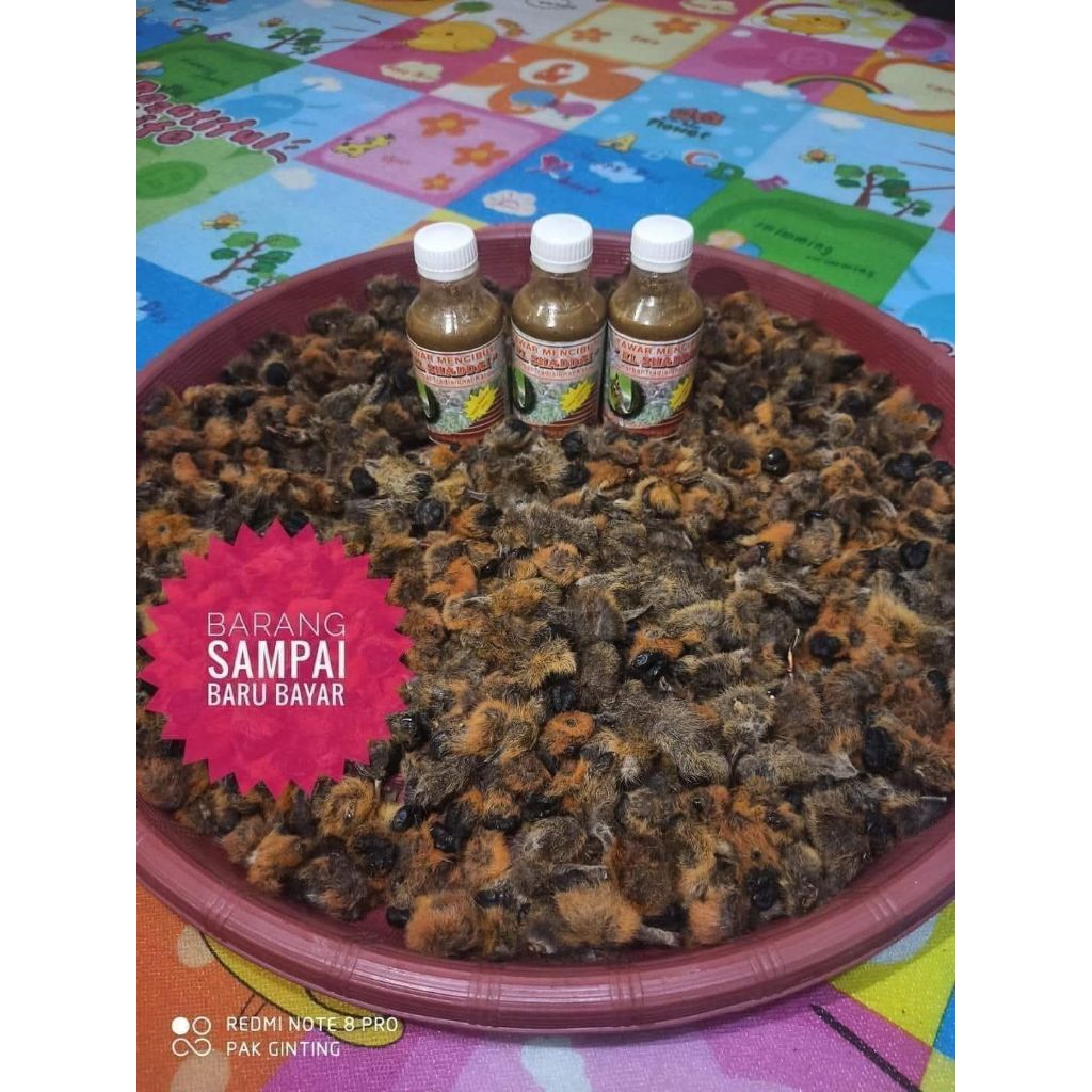 Teh Tawar Mencibut El Shaddai Rempah Alami