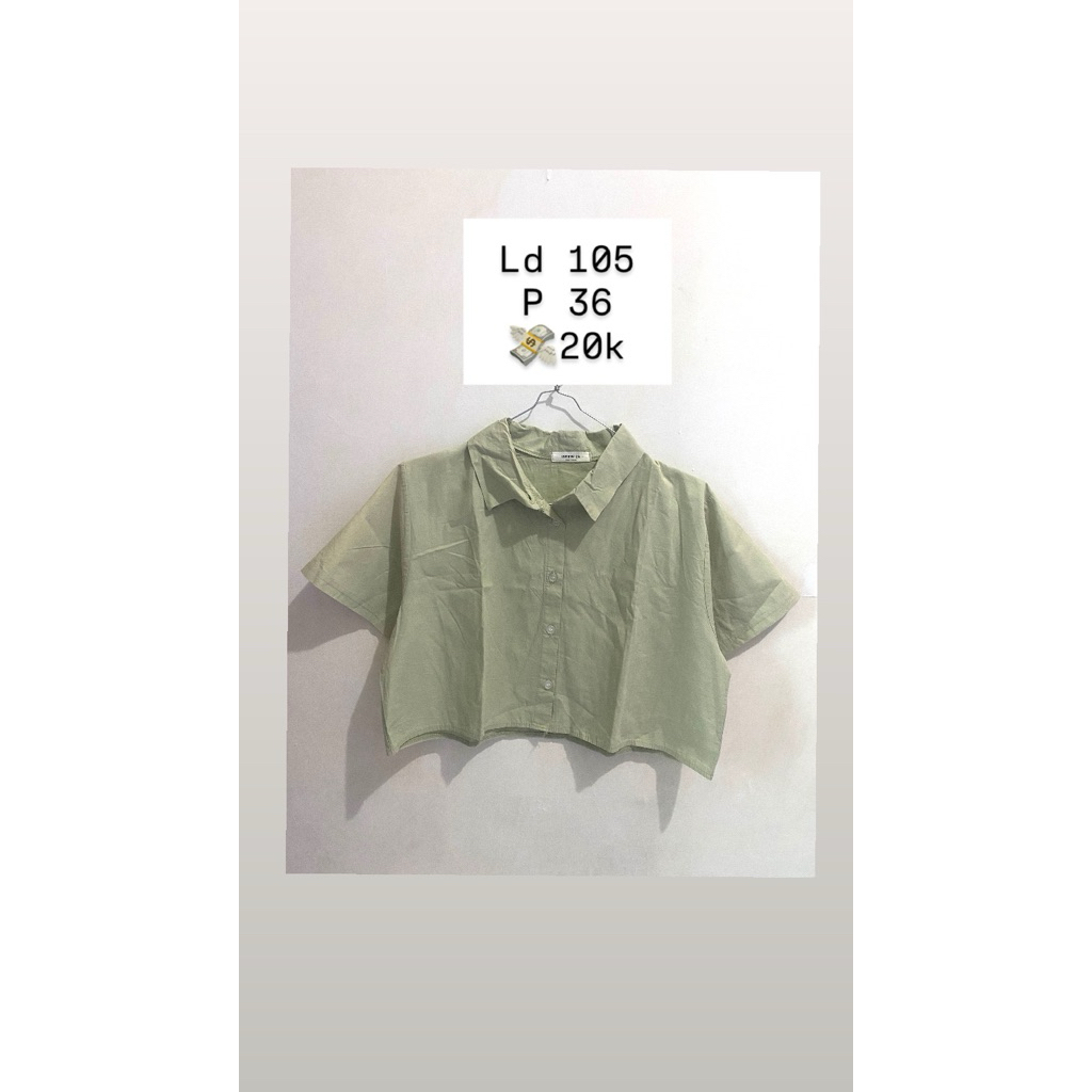 blouse sage