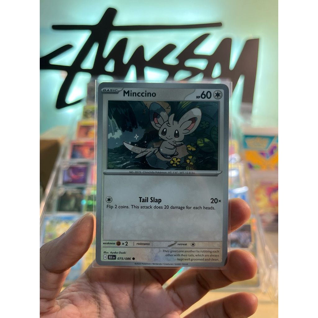MINCCINO - BLK 075/086